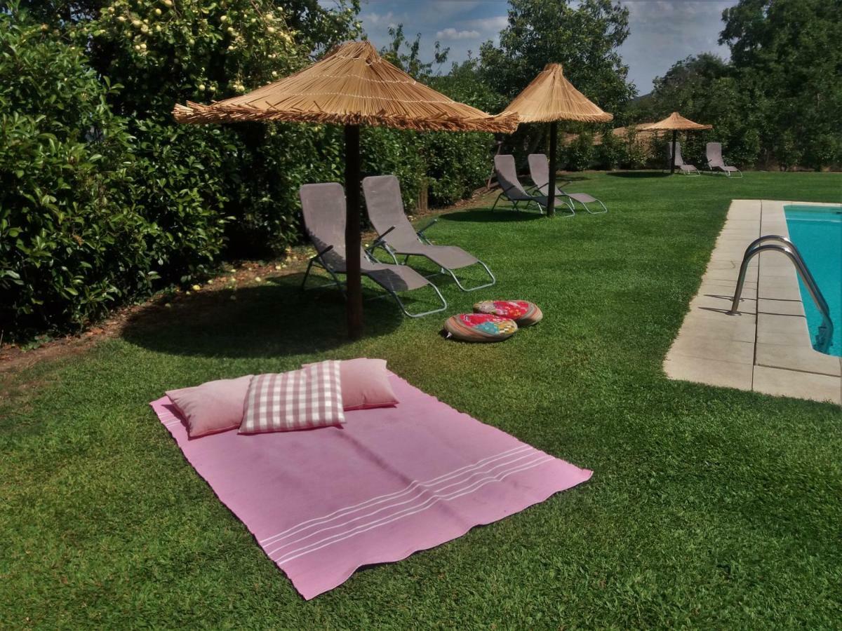 Glamping Hills